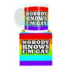 Nobody Knows I'm Gay Mug