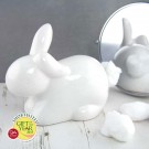 Cotton Tail