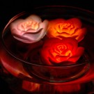 Rose Spa Lights