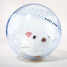  Hamster Ball Runner