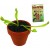 Grow Your Own Venus Fly Trap